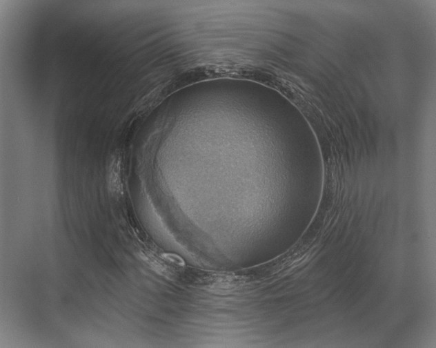 X0000071911060200607141354