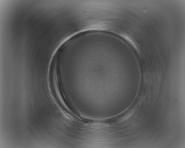 X0000071911077200607141354