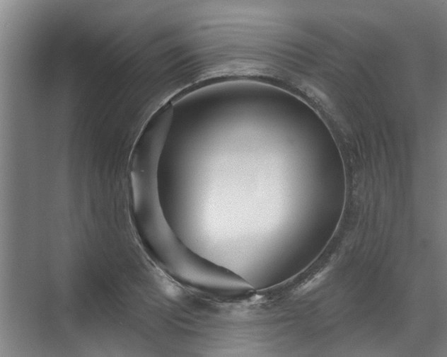 X0000071911081200607141354
