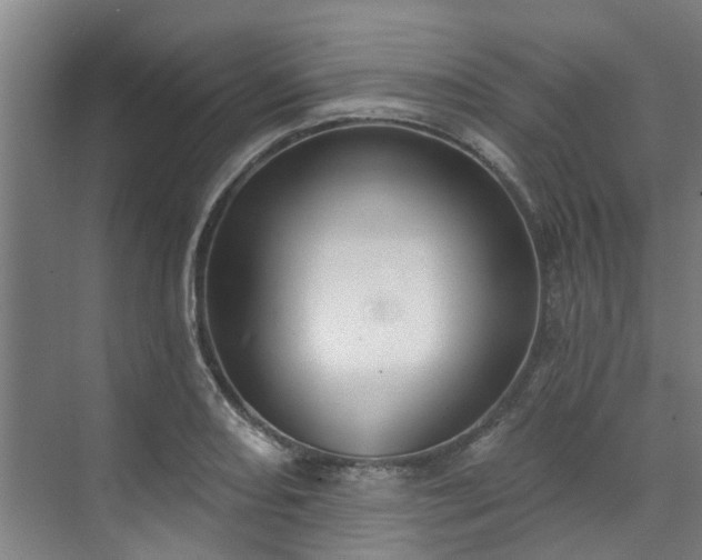 X0000071911082200607141354