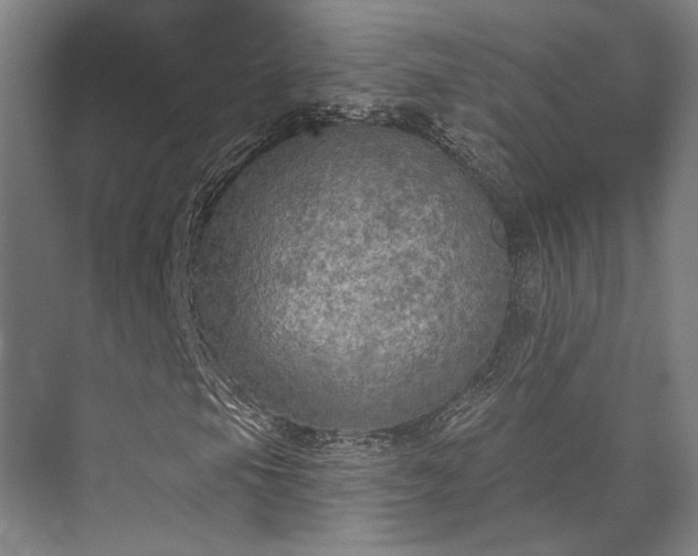 X0000071911105200607141353