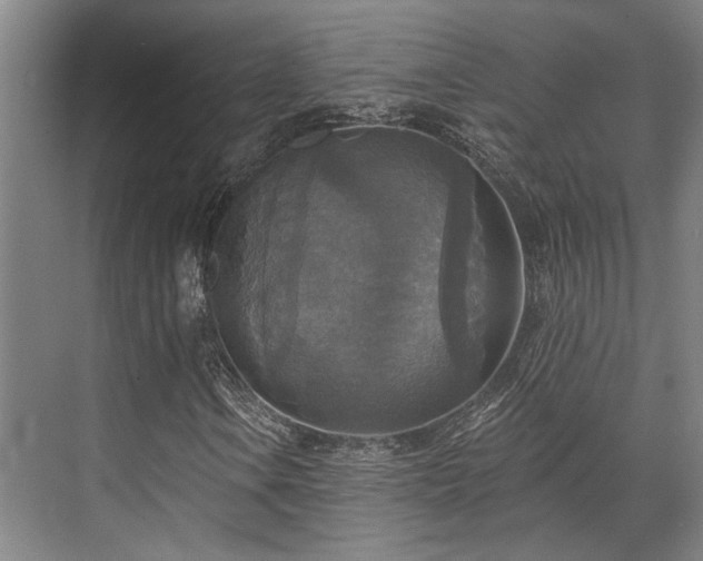 X0000071911106200607141353