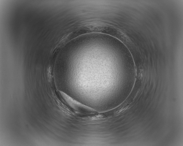 X0000071911108200607141353