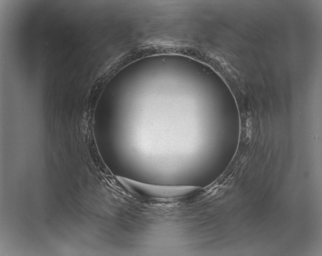 X0000071911157200607141353
