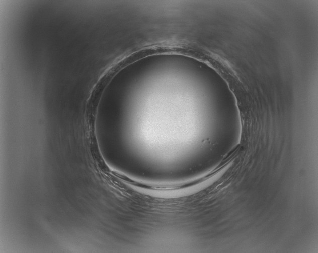 X0000071911160200607141353