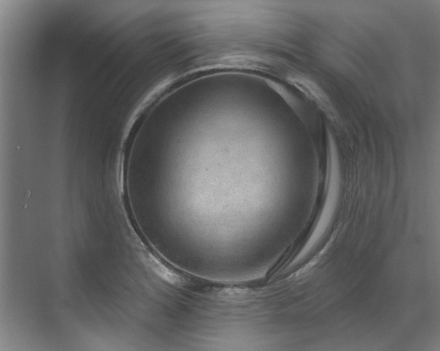X0000071911180200607141352