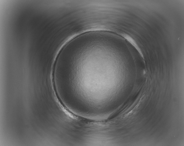 X0000071911197200607141352
