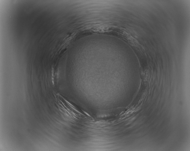 X0000071911202200607141351