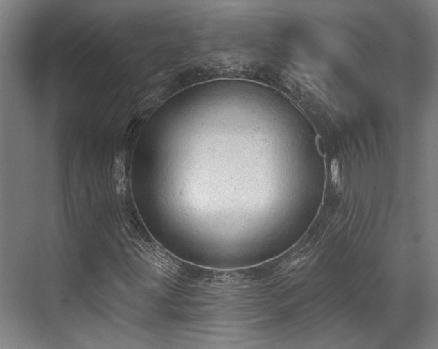 X0000071911203200607141351