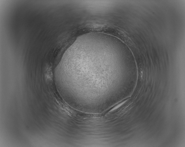 X0000071911204200607141351