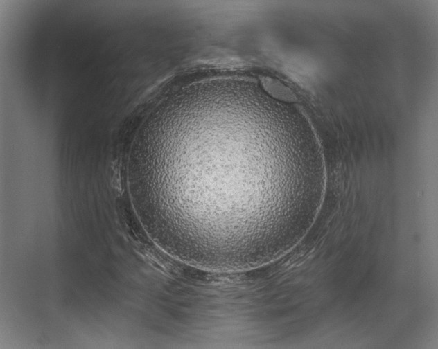 X0000071911205200607141351