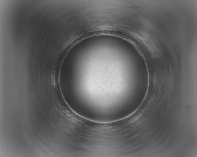 X0000071911209200607141351