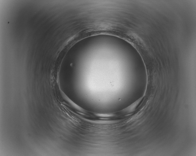 X0000071911210200607141351