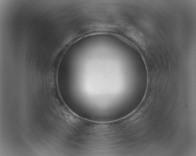 X0000071911211200607141351