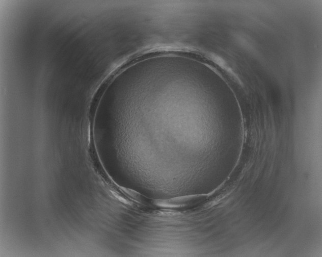 X0000071911221200607141351