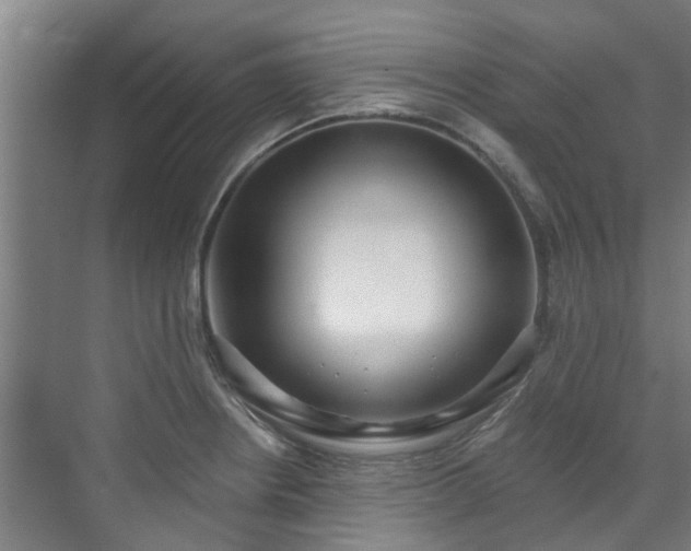 X0000071911234200607141352