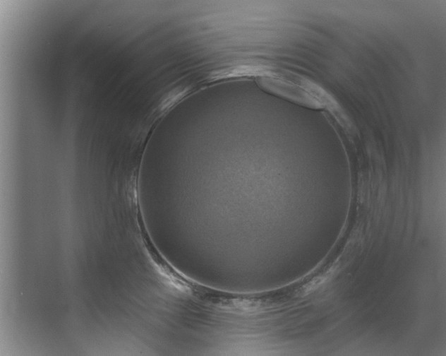X0000071911241200607141352