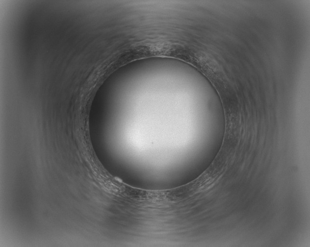 X0000071911249200607141351