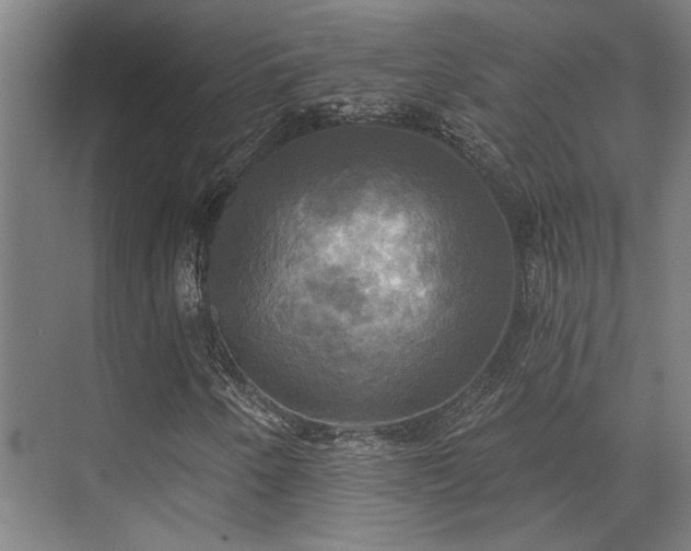 X0000071911250200607141351