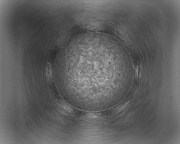X0000071911251200607141351