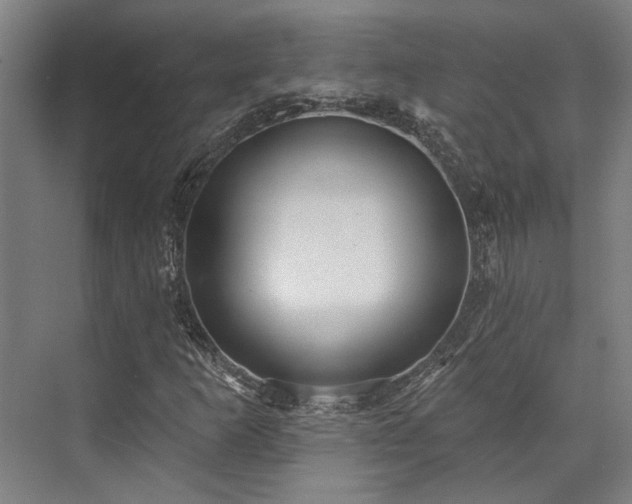 X0000071911253200607141351