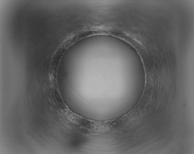 X0000071911254200607141351