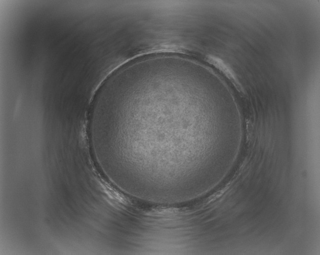 X0000071911260200607141351