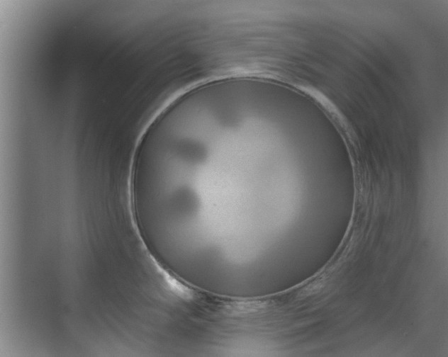 X0000071911294200607141350