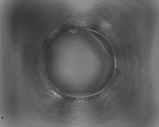 X0000071911297200607141349