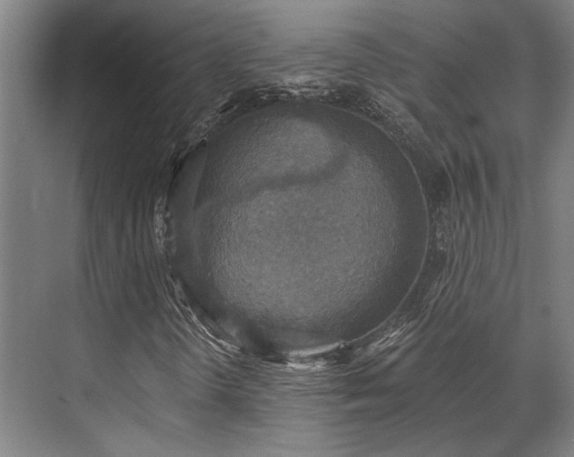 X0000071911298200607141349