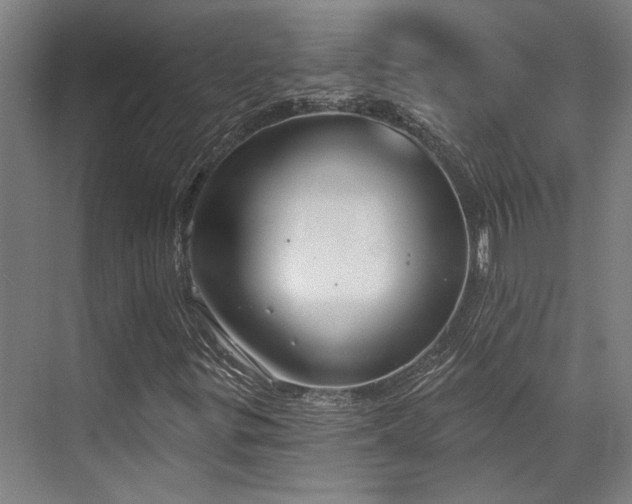 X0000071911299200607141349