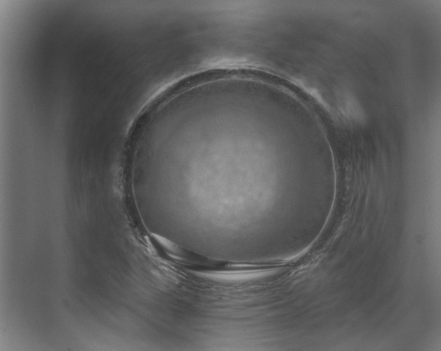 X0000071911311200607141350