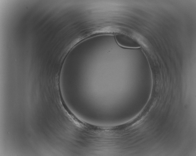 X0000071911329200607141350