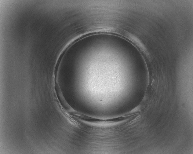 X0000071911332200607141350