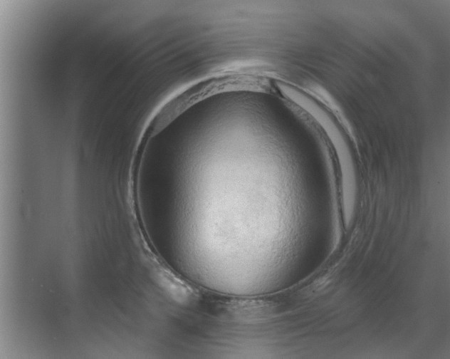 X0000071911336200607141350