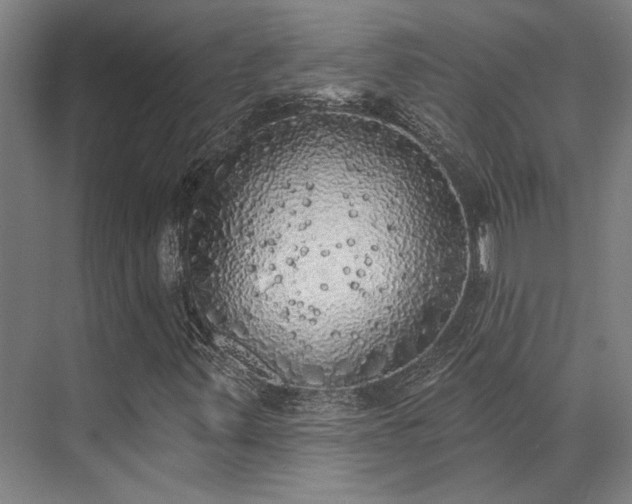 X0000071911347200607141349