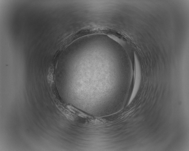 X0000071911348200607141349