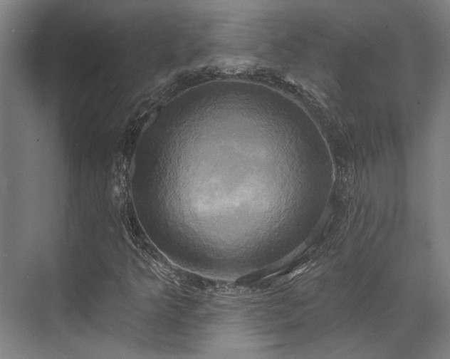 X0000071911349200607141349