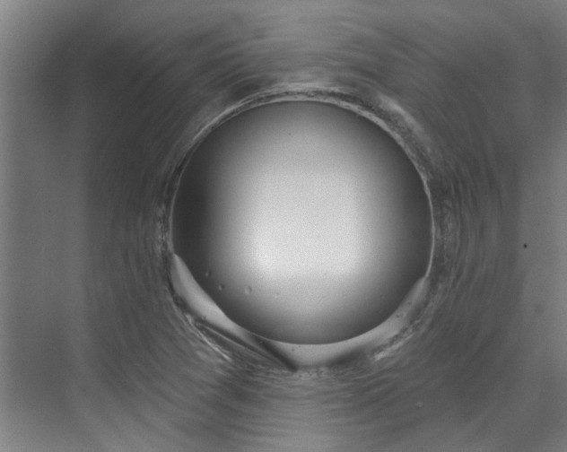 X0000071911361200607141349