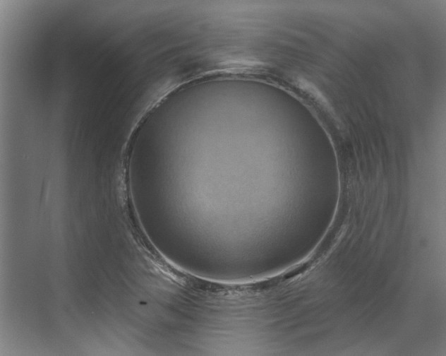 X0000071911362200607141349