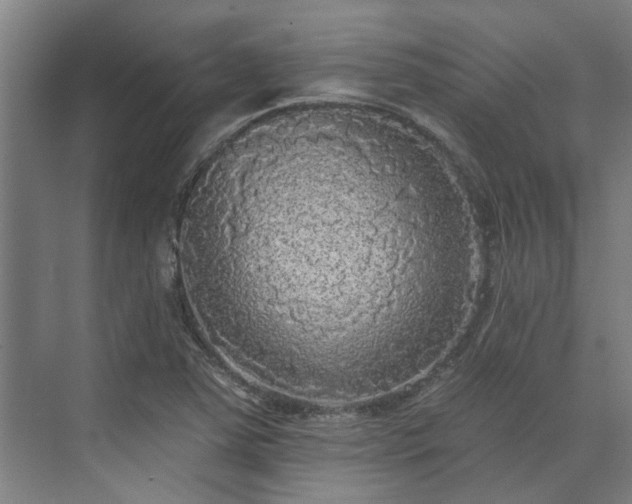 X0000071911363200607141349