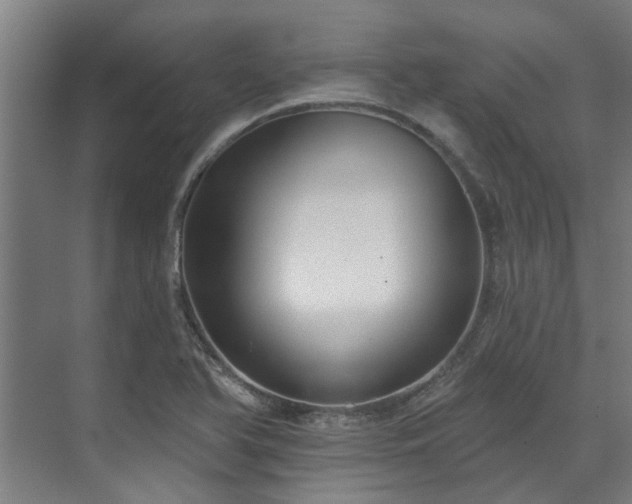 X0000071911366200607141349