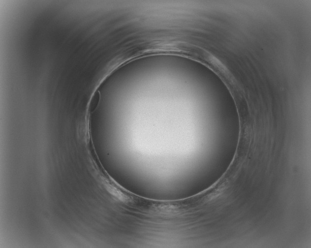 X0000071911370200607141349