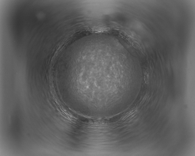X0000071911393200607141348
