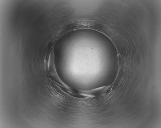 X0000071911394200607141348