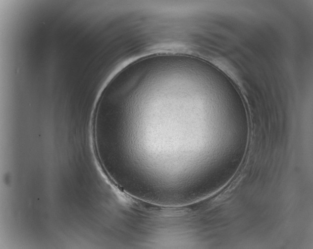 X0000071911440200607141349