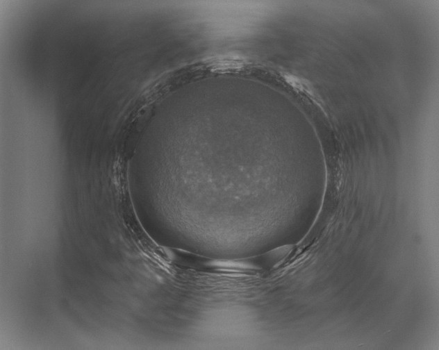 X0000071911445200607141348