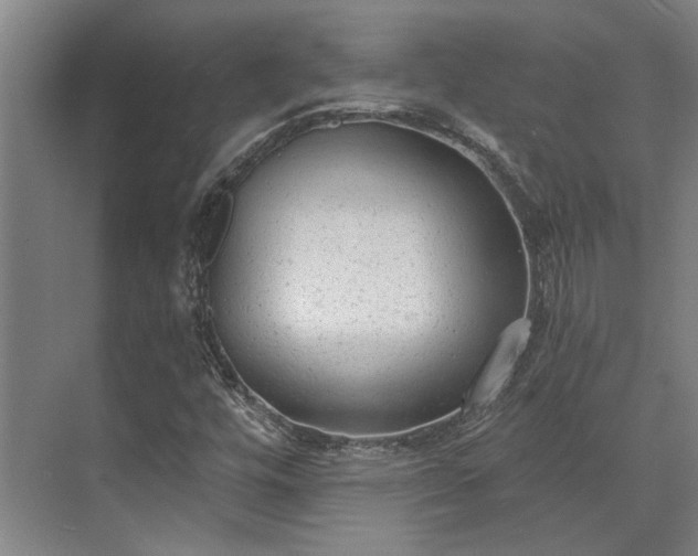 X0000071911448200607141348