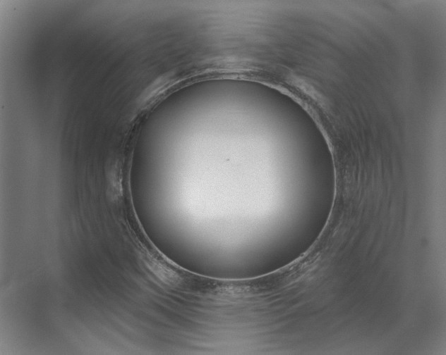 X0000071911451200607141348