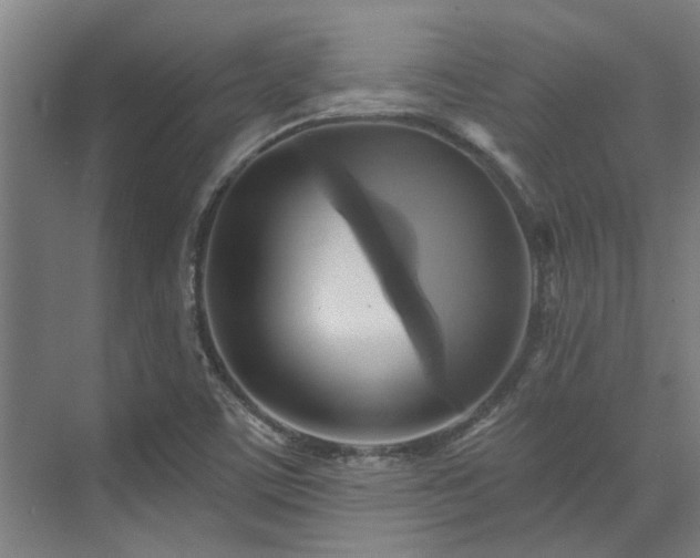 X0000071911459200607141348